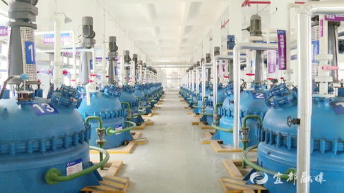 宜昌誠凱化工科研投入超500萬元，新興能源技術研發成新引擎